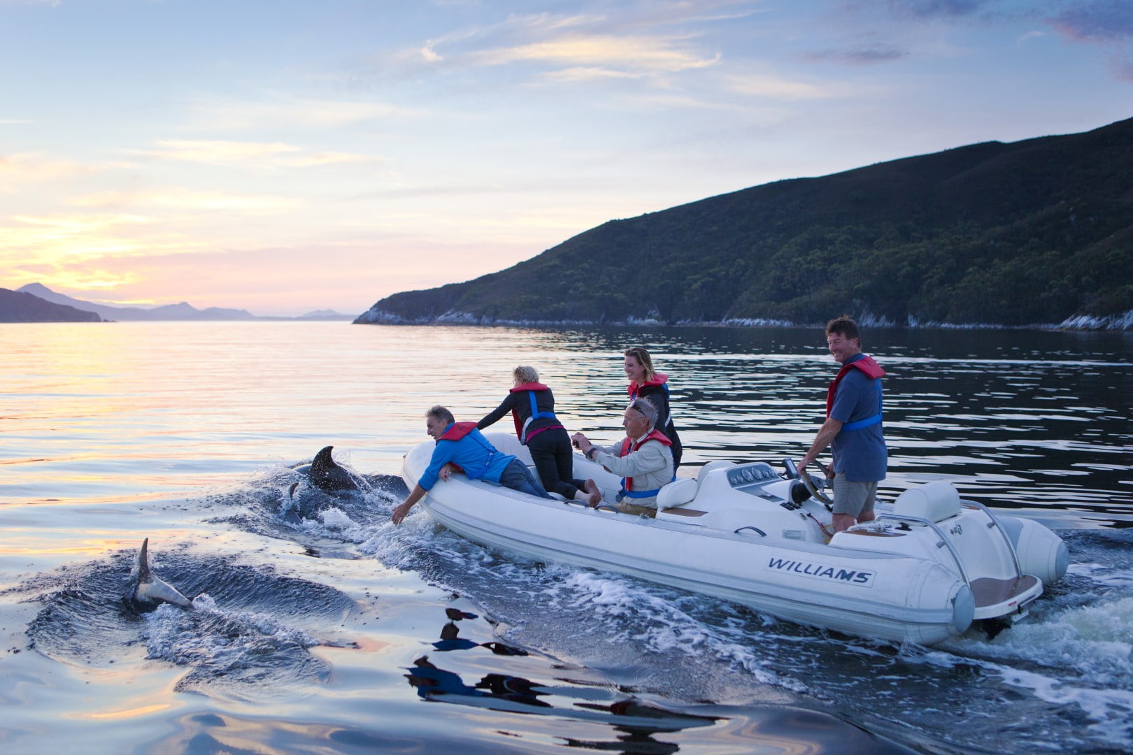 Bottlenose dolphins in Port Davey's Bramble Cove at sunset.