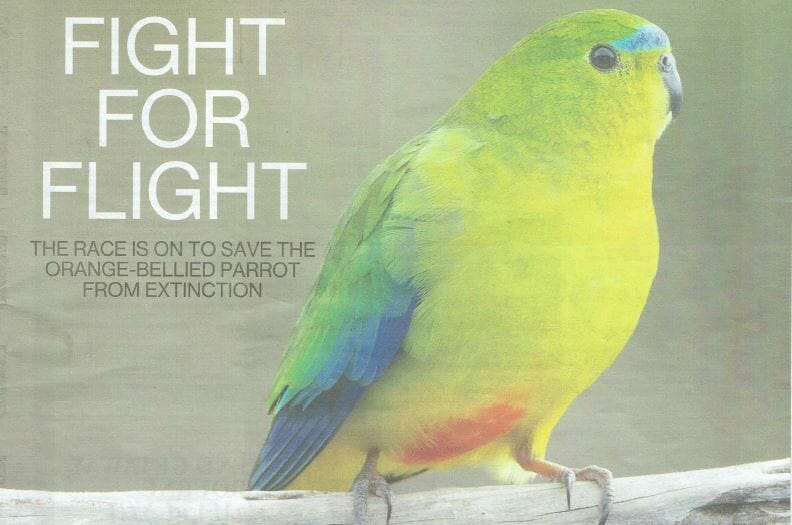TasWeekend-Magazine-Fight-for-Flight